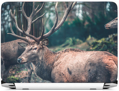 

PRINTHUBS LAPTOP223 Vinyl Laptop Decal 15.6