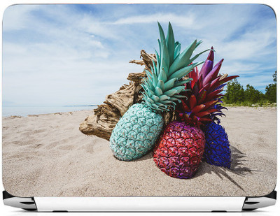 

PRINTHUBS LAPTOP303 Vinyl Laptop Decal 15.6