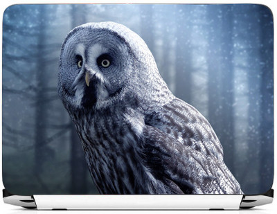 

PRINTHUBS LAPTOP188 Vinyl Laptop Decal 15.6