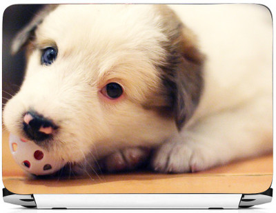 

PRINTHUBS LAPTOP171 Vinyl Laptop Decal 15.6