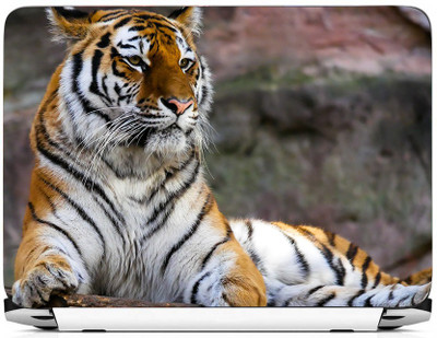 

PRINTHUBS LAPTOP225 Vinyl Laptop Decal 15.6