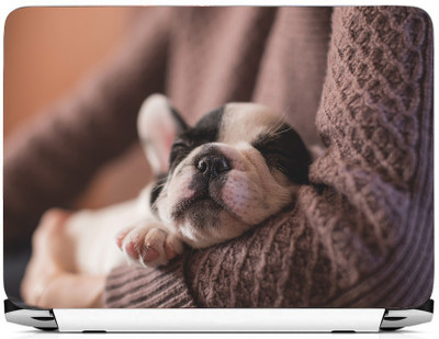 

PRINTHUBS LAPTOP178 Vinyl Laptop Decal 15.6