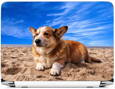 

PRINTHUBS LAPTOP234 Vinyl Laptop Decal 15.6