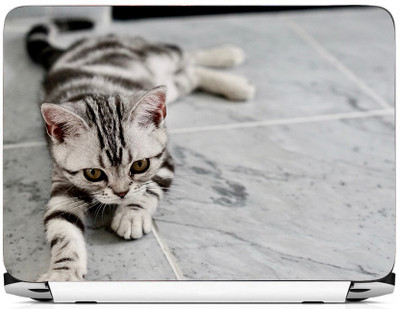 

PRINTHUBS LAPTOP170 Vinyl Laptop Decal 15.6