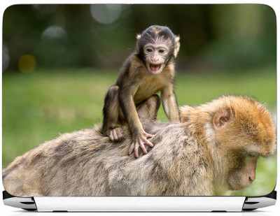 

PRINTHUBS LAPTOP241 Vinyl Laptop Decal 15.6