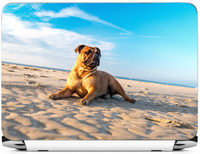 

PRINTHUBS LAPTOP233 Vinyl Laptop Decal 15.6