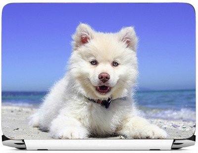 

PRINTHUBS LAPTOP173 Vinyl Laptop Decal 15.6