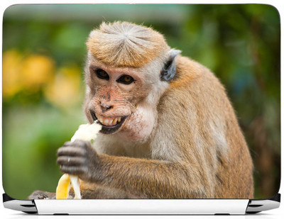 

PRINTHUBS LAPTOP228 Vinyl Laptop Decal 15.6