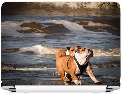 

PRINTHUBS LAPTOP164 Vinyl Laptop Decal 15.6
