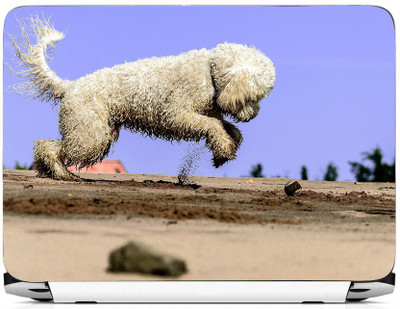 

PRINTHUBS LAPTOP231 Vinyl Laptop Decal 15.6