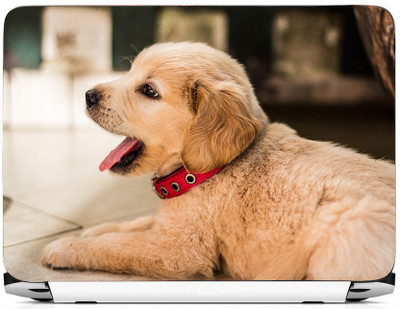 

PRINTHUBS LAPTOP179 Vinyl Laptop Decal 15.6