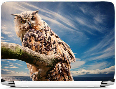 

PRINTHUBS LAPTOP235 Vinyl Laptop Decal 15.6