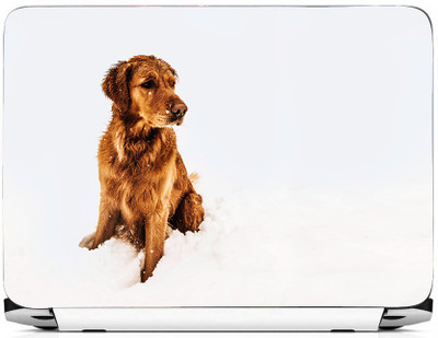 

PRINTHUBS LAPTOP237 Vinyl Laptop Decal 15.6