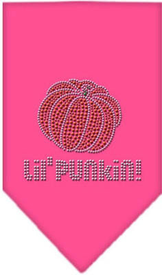 

Mirage Pet Products Bandana for Dog(Bright Pink