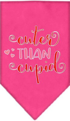 

Mirage Pet Products Bandana for Dog(Bright Pink
