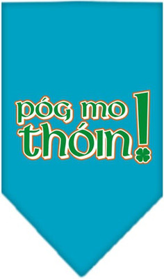 

Mirage Pet Products Bandana for Dog(Turquoise, Blue