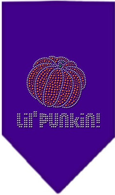 

Mirage Pet Products Bandana for Dog(Purple