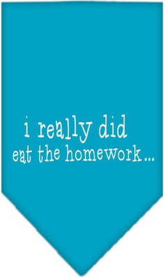 

Mirage Pet Products Bandana for Dog(Turquoise, Blue