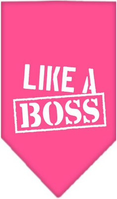Mirage Pet Products Bandana for Dog(Bright Pink
