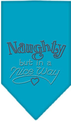 

Mirage Pet Products Bandana for Dog(Turquoise, Blue