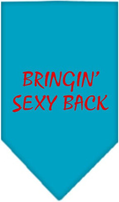 

Mirage Pet Products Bandana for Dog(Turquoise, Blue