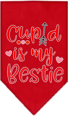 

Mirage Pet Products Bandana for Dog(Red