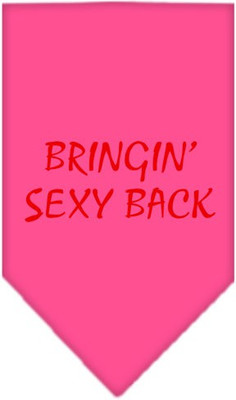 Mirage Pet Products Bandana for Dog(Bright Pink