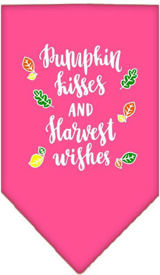 

Mirage Pet Products Bandana for Dog(Bright Pink