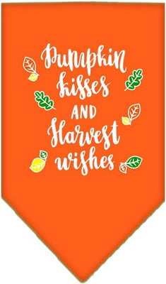 

Mirage Pet Products Bandana for Dog(Orange
