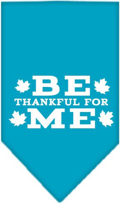 

Mirage Pet Products Bandana for Dog(Turquoise, Blue