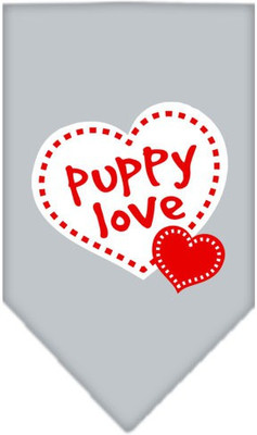 

Mirage Pet Products Bandana for Dog(Grey