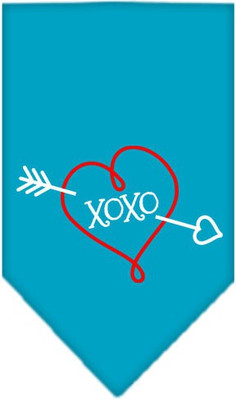 

Mirage Pet Products Bandana for Dog(Turquoise, Blue