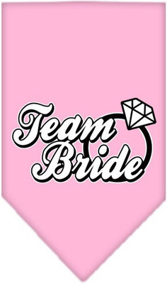 

Mirage Pet Products Bandana for Dog(Light Pink