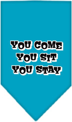 

Mirage Pet Products Bandana for Dog(Turquoise, Blue
