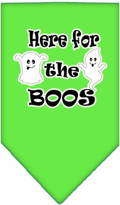 

Mirage Pet Products Bandana for Dog(Lime Green