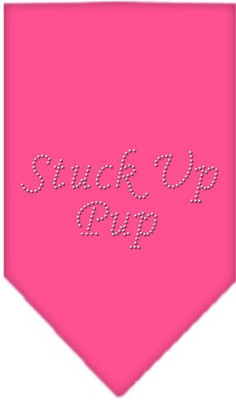 

Mirage Pet Products Bandana for Dog(Bright Pink