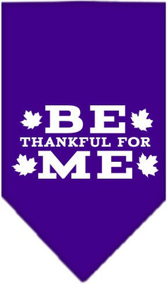 

Mirage Pet Products Bandana for Dog(Purple