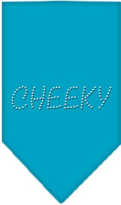 

Mirage Pet Products Bandana for Dog(Turquoise, Blue