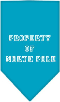 

Mirage Pet Products Bandana for Dog(Turquoise, Blue