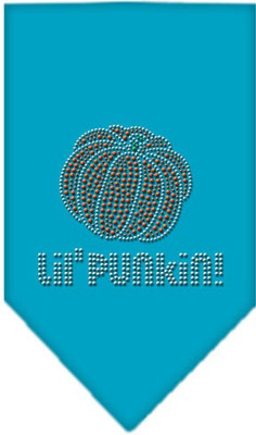 

Mirage Pet Products Bandana for Dog(Turquoise, Blue
