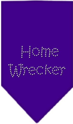 

Mirage Pet Products Bandana for Dog(Purple