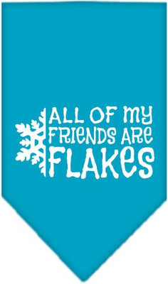 

Mirage Pet Products Bandana for Dog(Turquoise, Blue