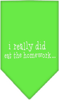 

Mirage Pet Products Bandana for Dog(Lime Green