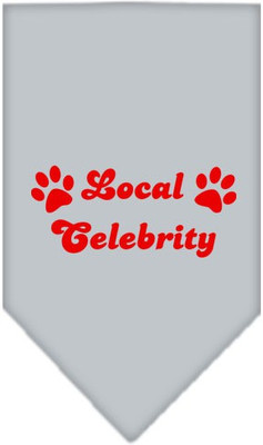 Mirage Pet Products Bandana for Dog(Grey