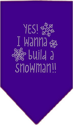 

Mirage Pet Products Bandana for Dog(Purple