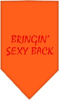 

Mirage Pet Products Bandana for Dog(Orange