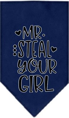 Mirage Pet Products Bandana for Dog(Navy Blue