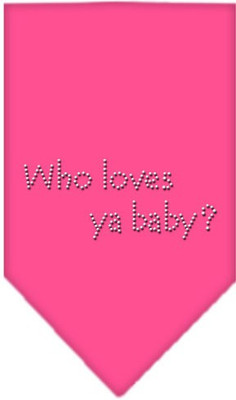 

Mirage Pet Products Bandana for Dog(Bright Pink