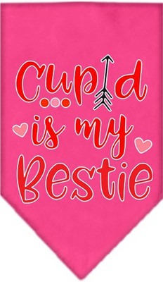 

Mirage Pet Products Bandana for Dog(Bright Pink