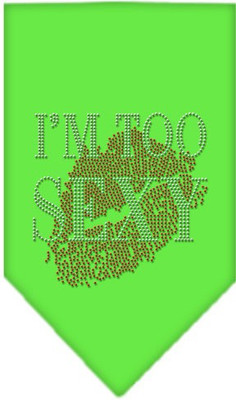 

Mirage Pet Products Bandana for Dog(Lime Green